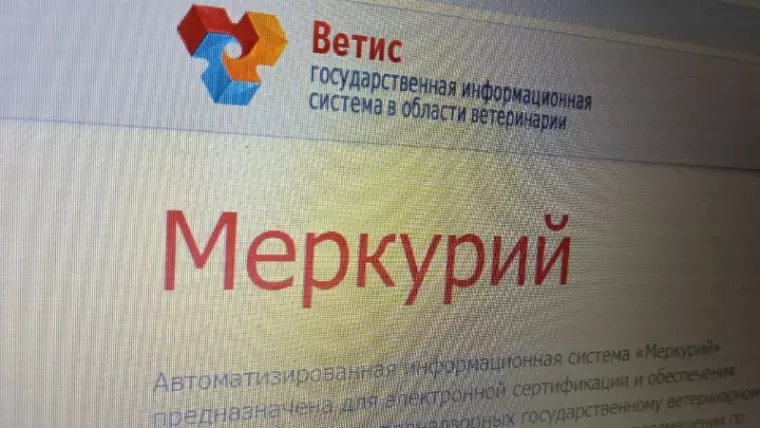 фгис меркурий