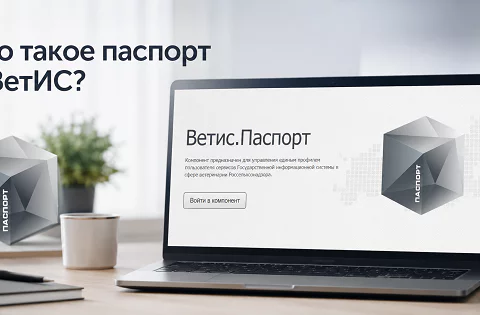 фгис меркурий ветис паспорт