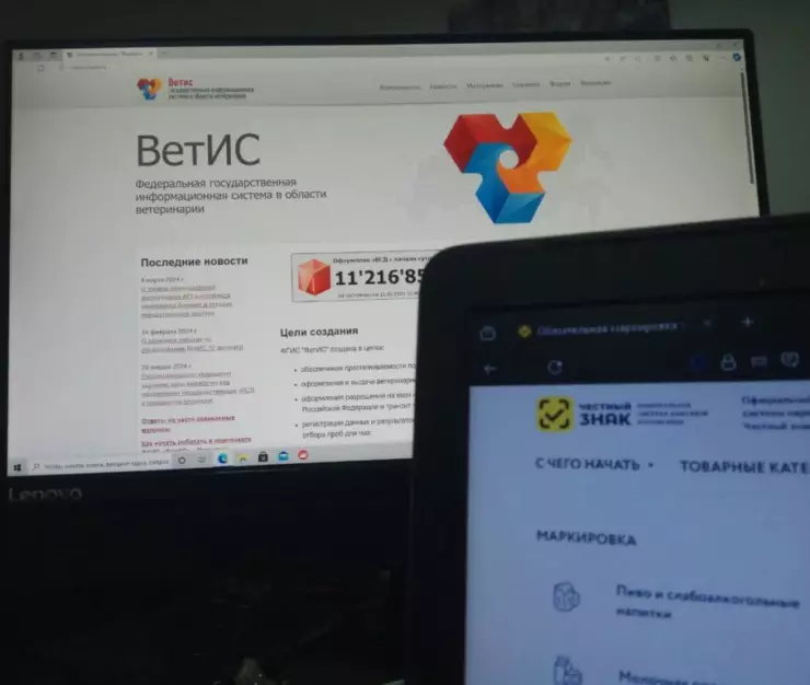 ветис чз 1024x768 2