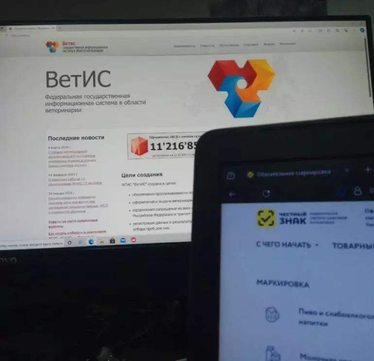 чз 1024x768 2
