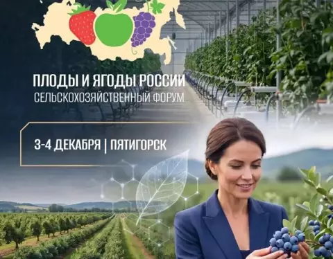 форум-пятигорск