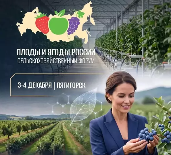 форум-пятигорск