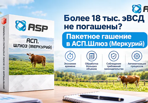 как-погасить-быстро-всд-фгис-меркурий