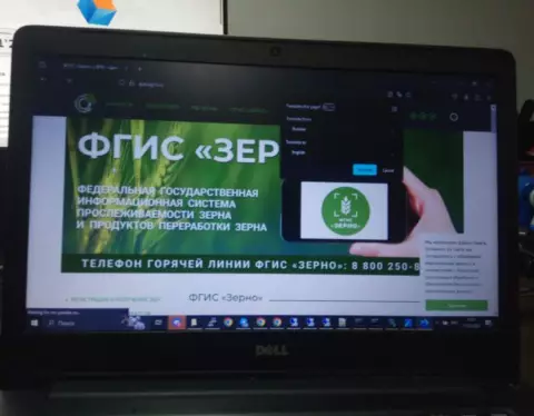 фгис-зерно