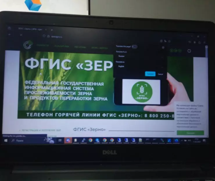 фгис-зерно