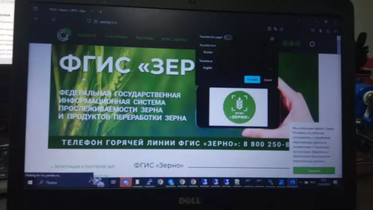 фгис-зерно