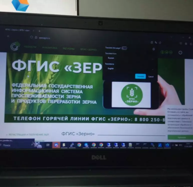 фгис-зерно