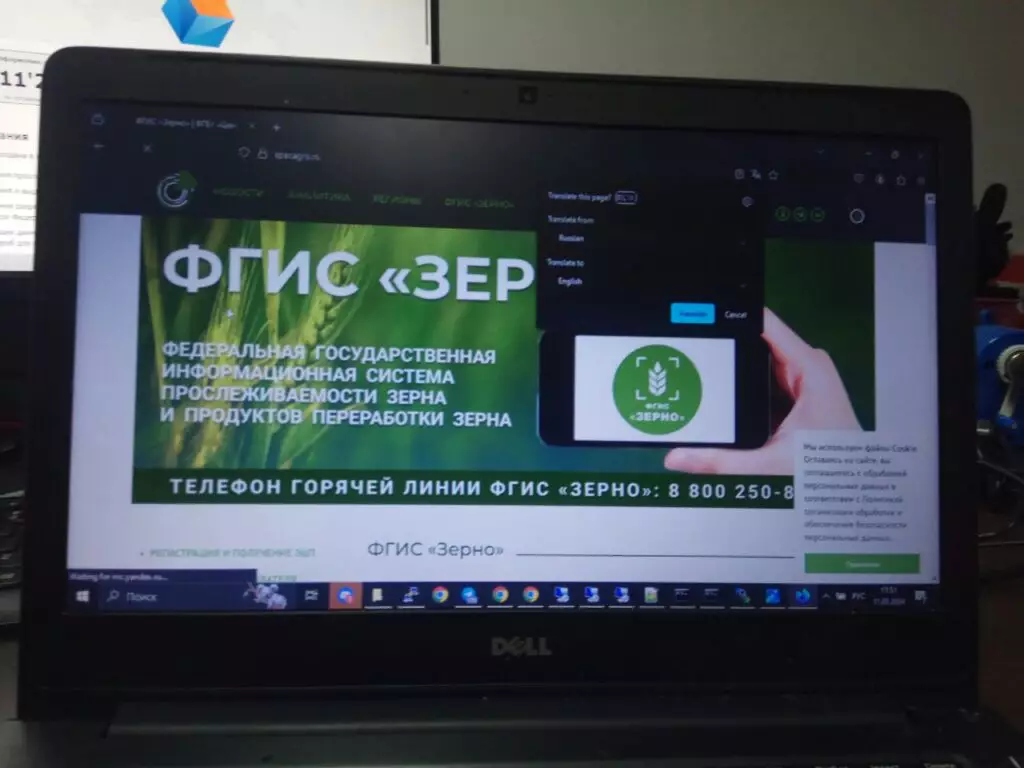 фгис-зерно
