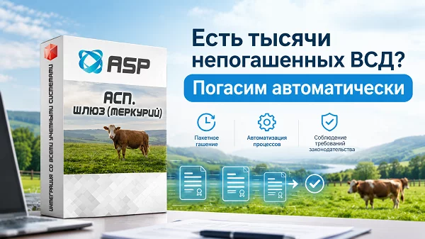 как-погасить-сотни-всд-быстро-фгис-меркурий